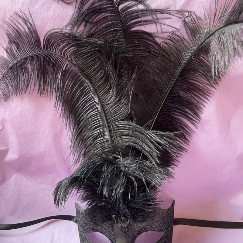 Black Struzzo Lux Plain - Ladies Mask with Centre Feathers