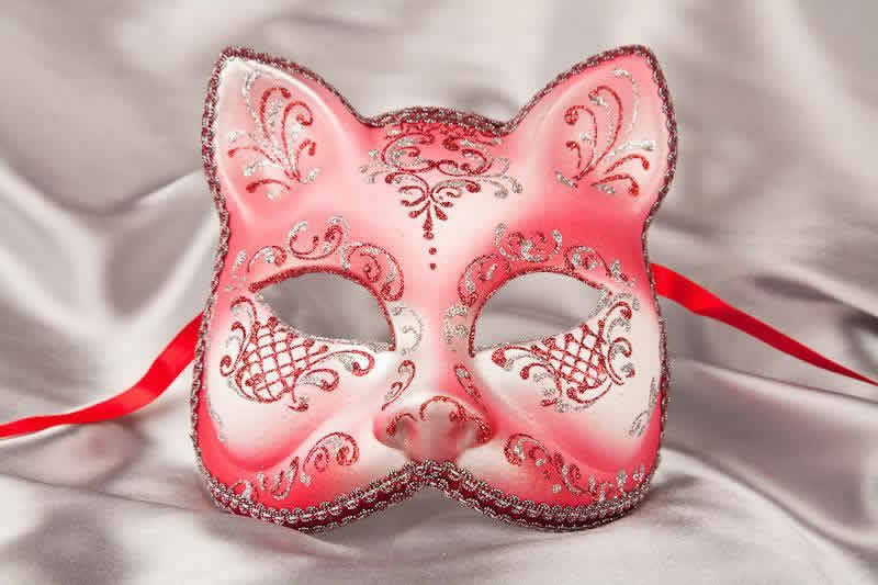 Red Silver Cat Mask for Animal Masquerading